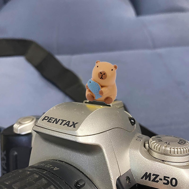 MENGSOOD Camera Hot Shoe Cover, Cute Hot Shoe Cap, Hot Shoe Protector Compatible with Sony Fujifilm Fuji Canon Nikon Pentax Leical Panasonic (2pcs Capybara) - Image 4